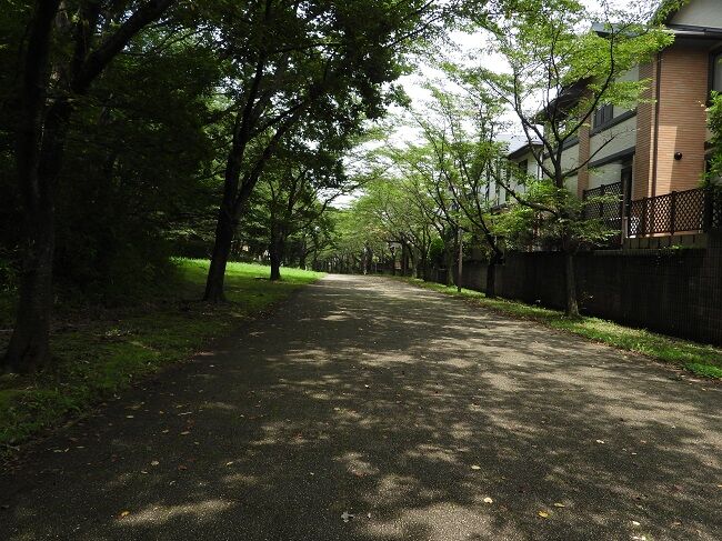 小山内裏公園から南大沢までの様子 Htkirako395のblog 小山内裏公園から南大沢までの様子 Htkirako395のblog