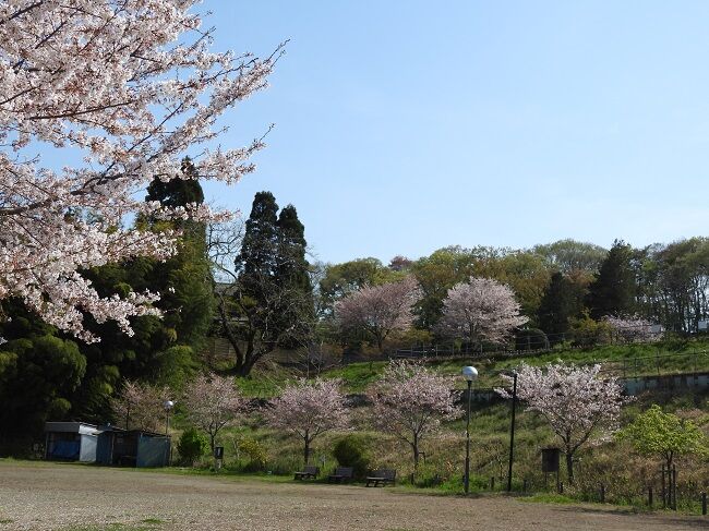 htkirako395のblog
「湯殿川」沿いの散策は楽しい~~♪
コメント