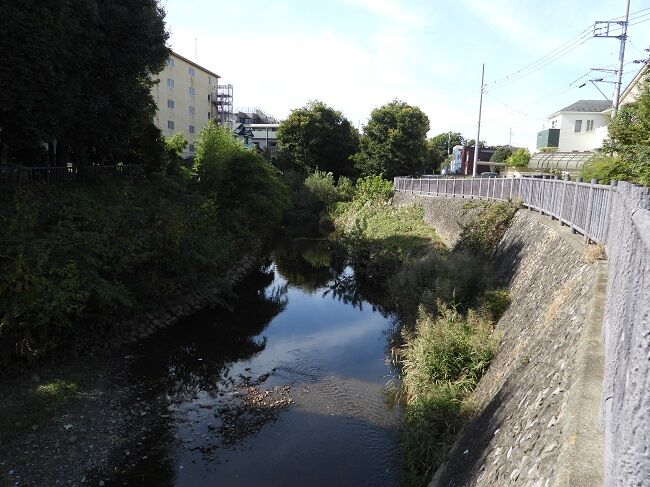 境川沿いの散策で「カワセミやキセキレイ」に・・ : htkirako395のblog