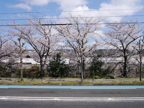 nozomizo2022_01