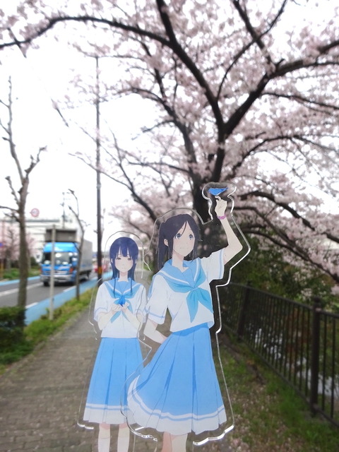 nozomizo2023_01_