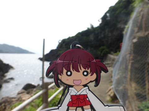 yakushima_20160716_04