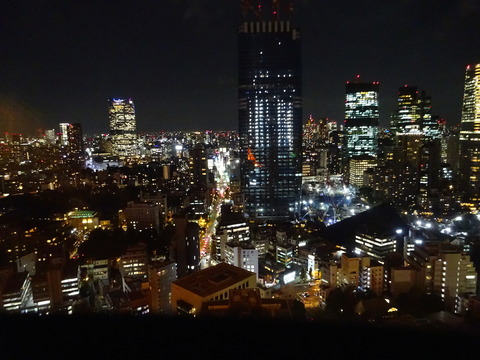 tokyotower11