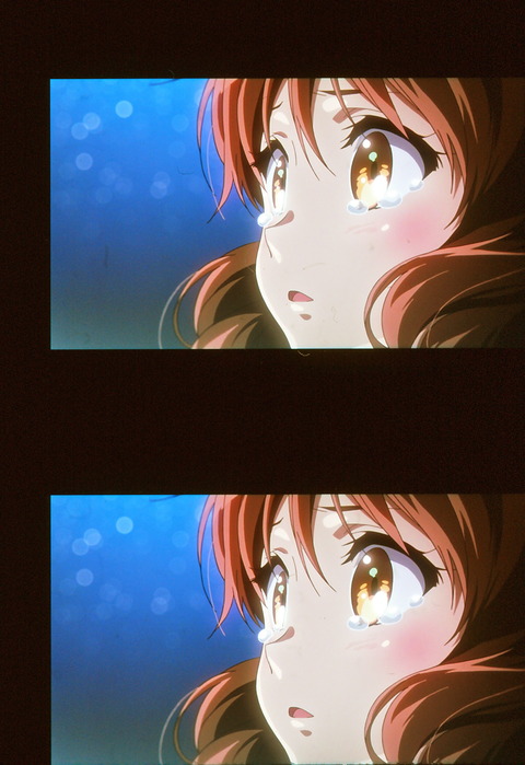eupho04_1