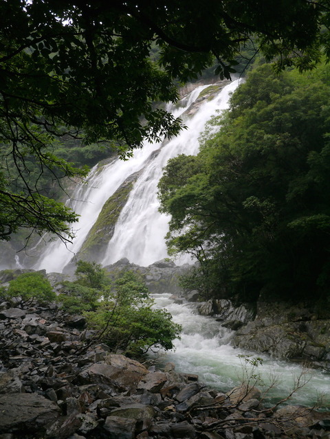 yakushima_20160717_11