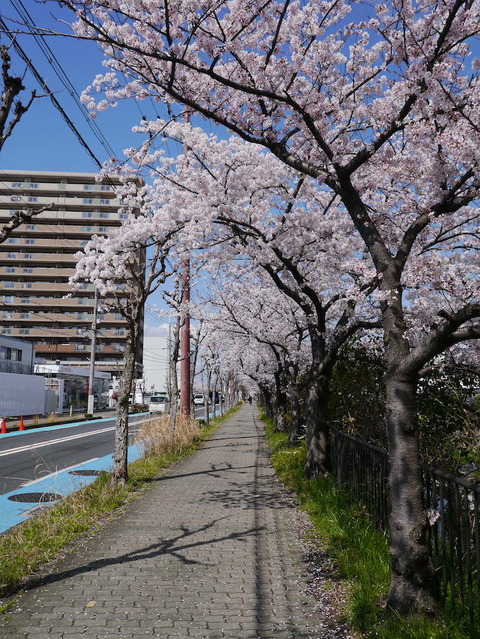 nozomizo2022_03