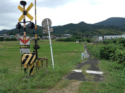 kinoko03