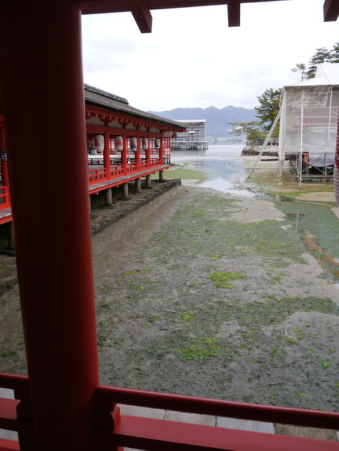 miyajima2022_05