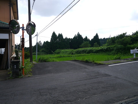 yakushima_20160718_10