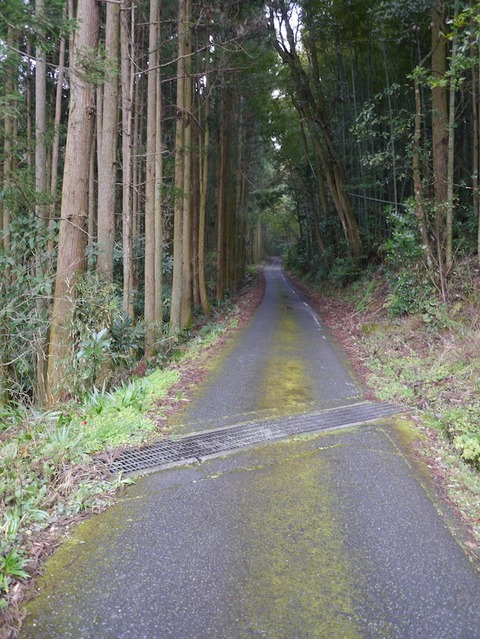 shindouji_b01
