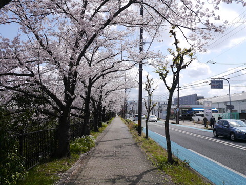 nozomizo2022_04