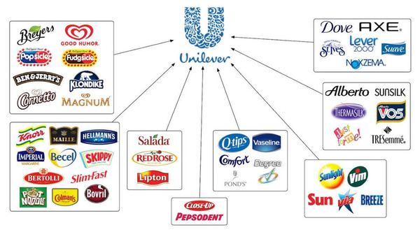 Unilever-Multi-brand-Strategy