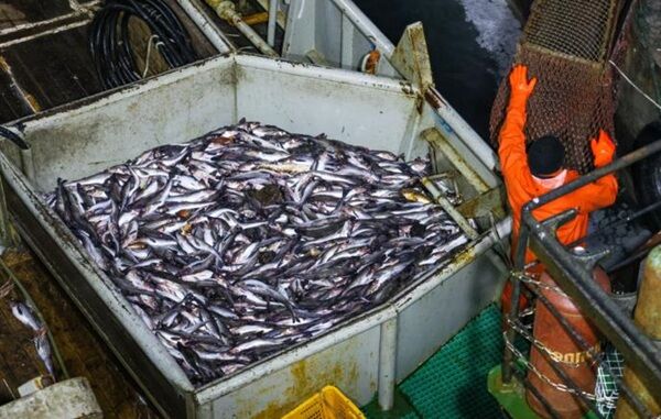 1767775048419384_CrQWD65i