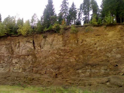 20121212ocher