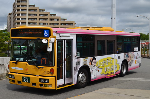 CSC_1271