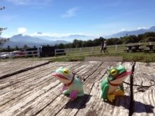 料理レシピ（料理）に関するWebメディア