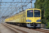 311F+295F_003
