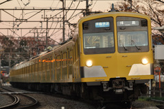 311F+285F_003