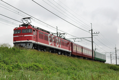 EF81_028