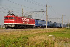 EF81_029