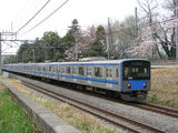 20101F_sakura_001