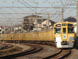 朝撮り3