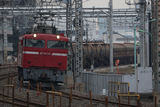 EF81_007
