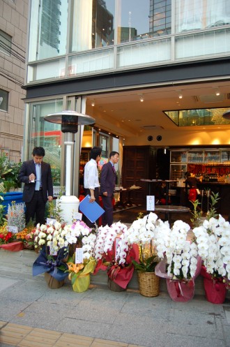 胡蝶蘭がいっぱい！