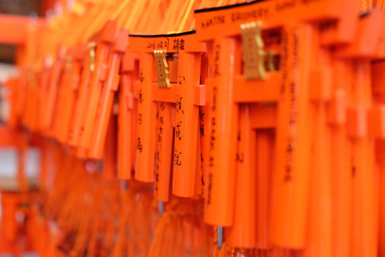 Photo 5-3-16, 13 35 18