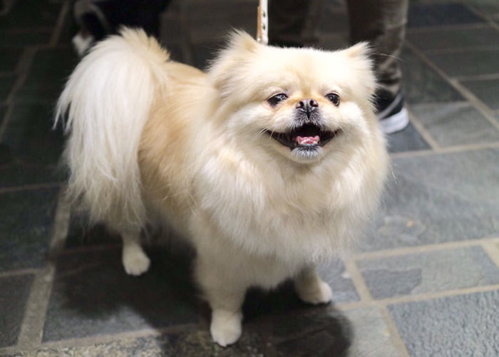 Photo 2-18-16, 19 17 36