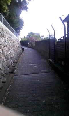 神戸大に行って来た Hugo S Blog