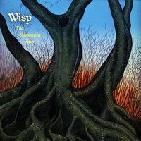 wisp-the-shimmering-hour-2009