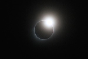 IMG_8311
