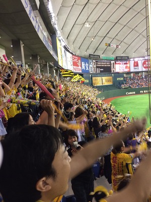 写真 2014-07-13 17 22 21