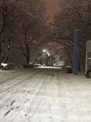 写真 2014-02-14 19 45 22