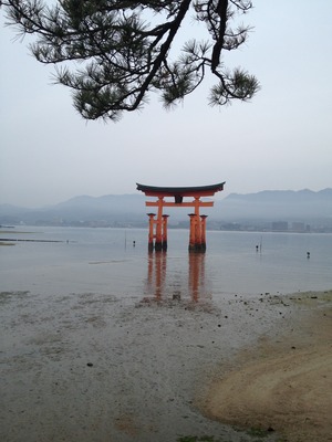写真 2013-03-29 6 57 41
