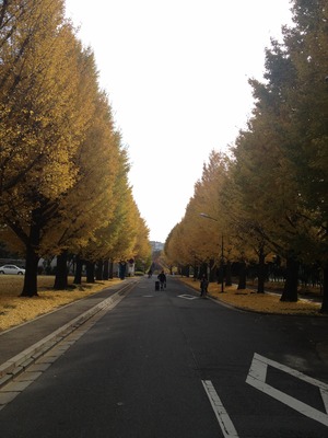 写真 12-11-29 13 15 57