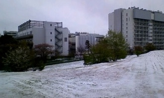 100417_084857
