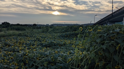 PXL_20240809_204506905