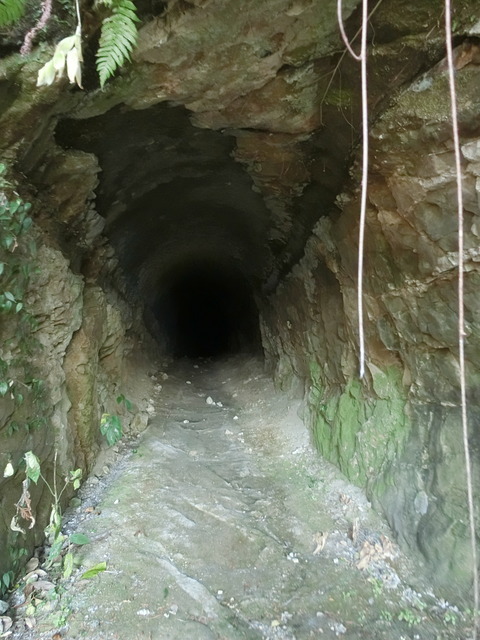 CIMG7842