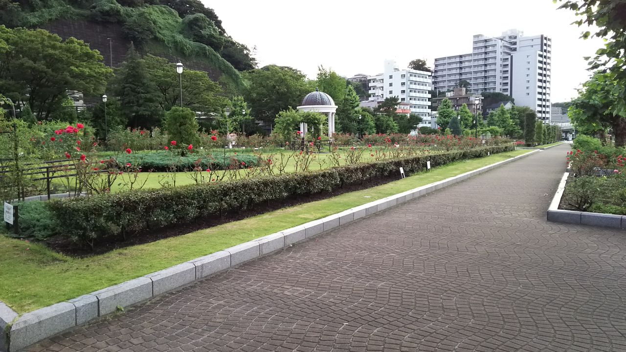 ヴェルニー公園 幕末の史跡で 他所と一味違う大人な風景の公園 横須賀市 歴史オタクの郷土史グルメ旅 久良岐のよし