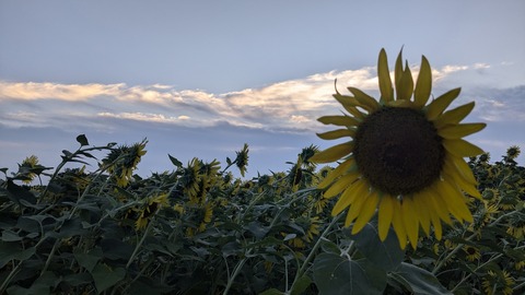 PXL_20240809_200633887