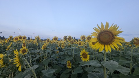 PXL_20240809_201148787