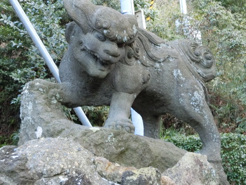 CIMG6714