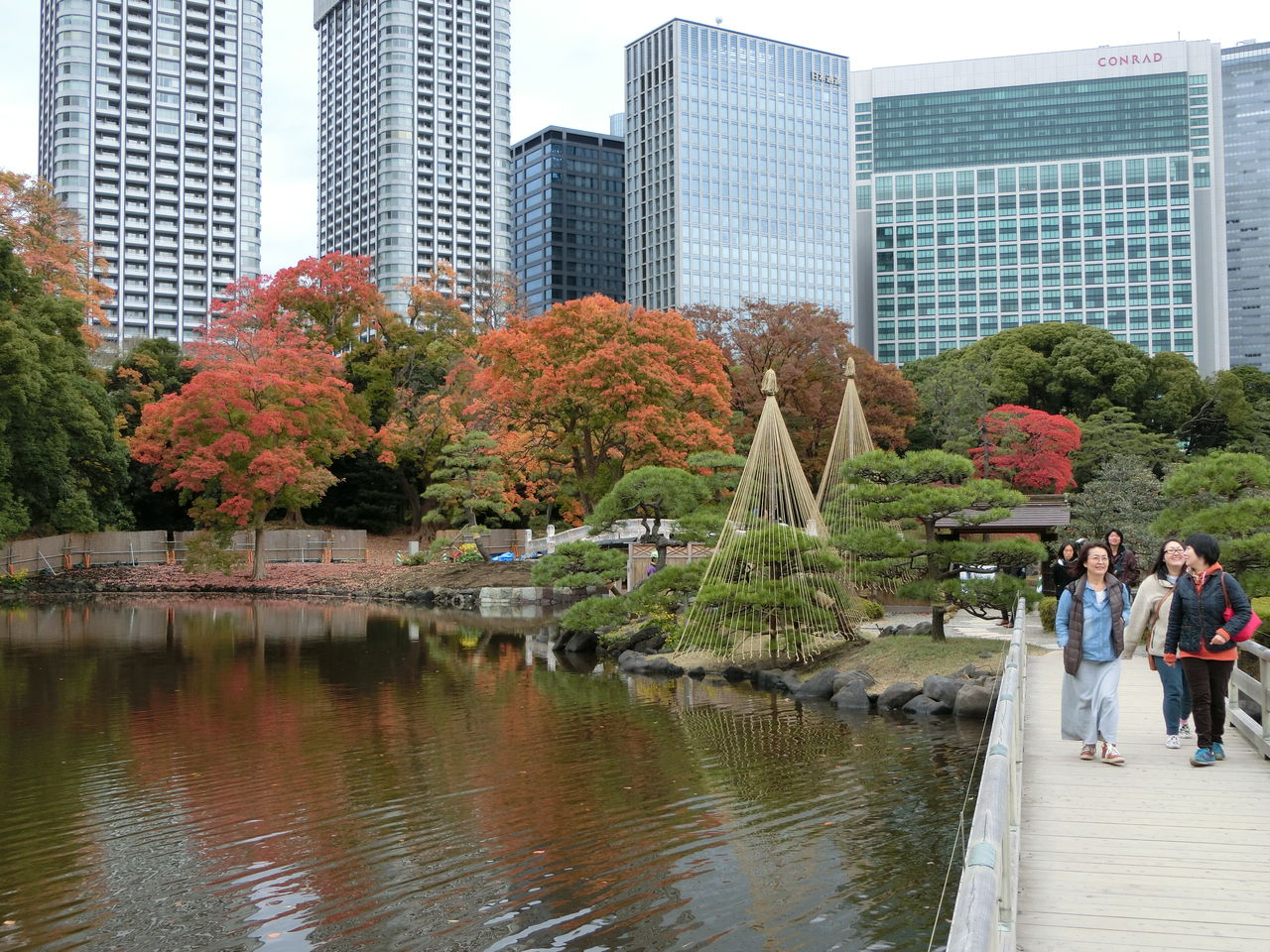 紅葉と塩害 歴史オタクの郷土史グルメ旅 久良岐のよし 紅葉と塩害 歴史オタクの郷土史グルメ旅 久良岐のよし