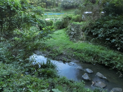 CIMG0878
