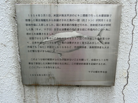 CIMG1325