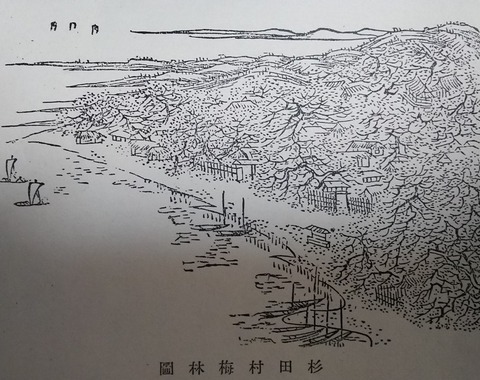 杦田梅林　久良岐のよし