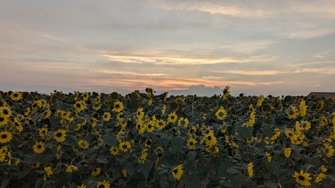 PXL_20240811_093122672