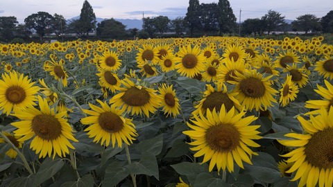 PXL_20240809_201755033